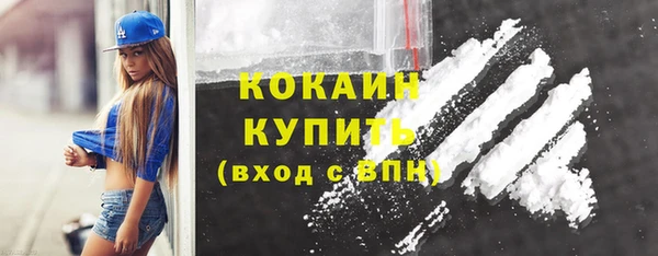 крисы Покачи