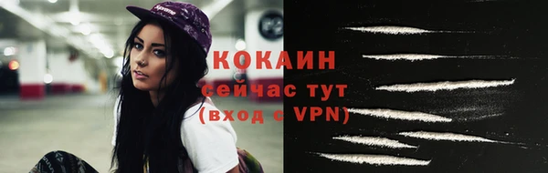 крисы Покачи