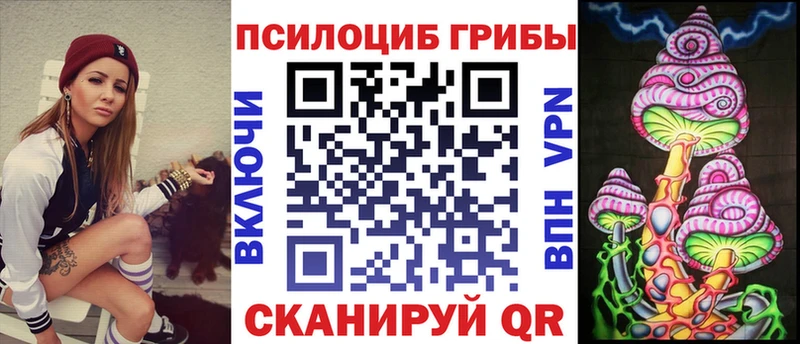Купить где  Лакинск  Галлюциногенные грибы Psilocybine cubensis 